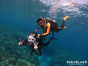 ボート体験ダイビングの様子