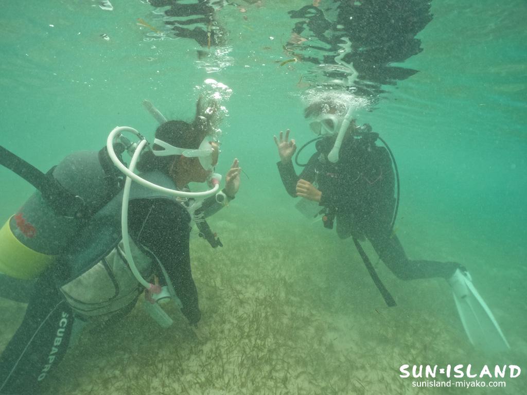 スタッフトレーニング1