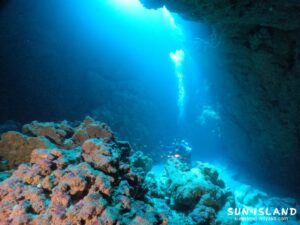 本日の海の様子