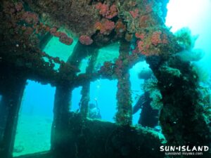 沈船ダイビング