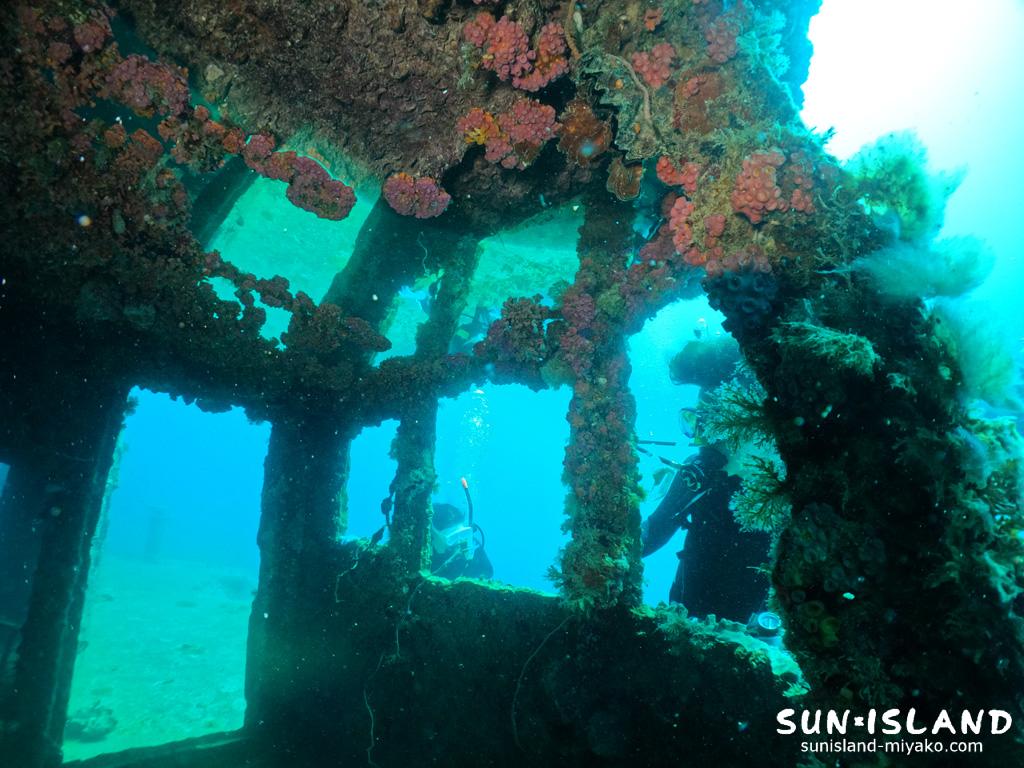 沈船ダイビング