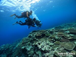 体験ダイビング