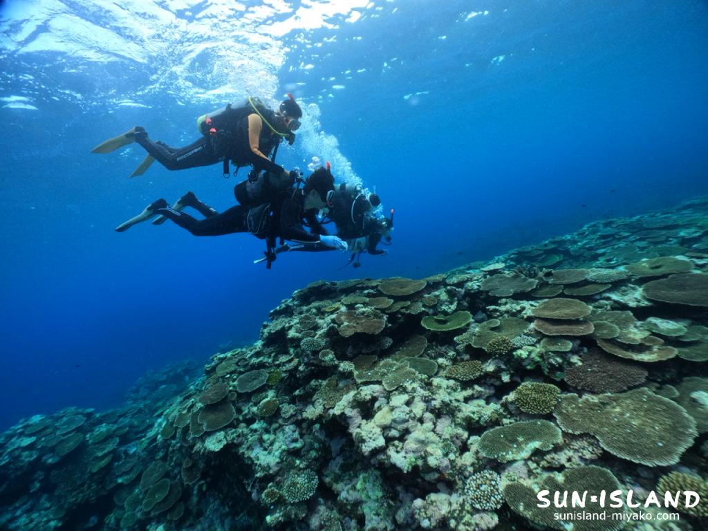 体験ダイビング