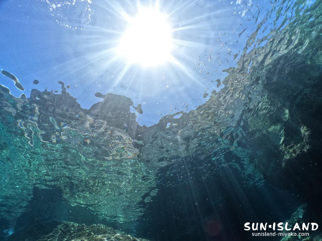 水底から水面を見上げた景色。