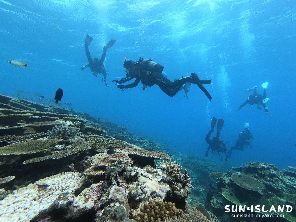 サバ沖アウトリーフ