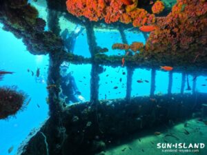 リピーターKさんとダイビング