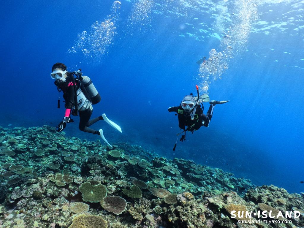本日のボートファンダイビングご参加のSさん・Nさん