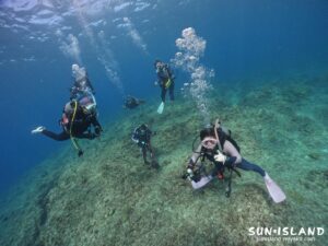 福岡県大牟田市に所在するダイビングショップAQUAのゲストさん