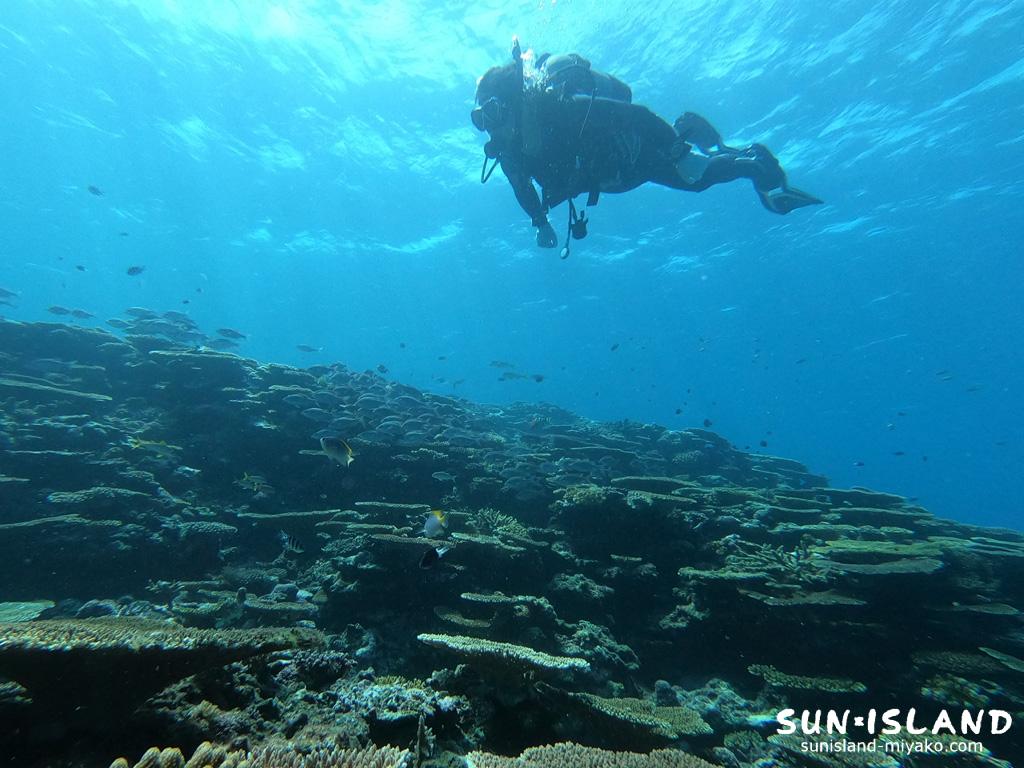 サバ沖アウトリーフ