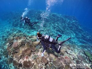 サバ沖アウトリーフ