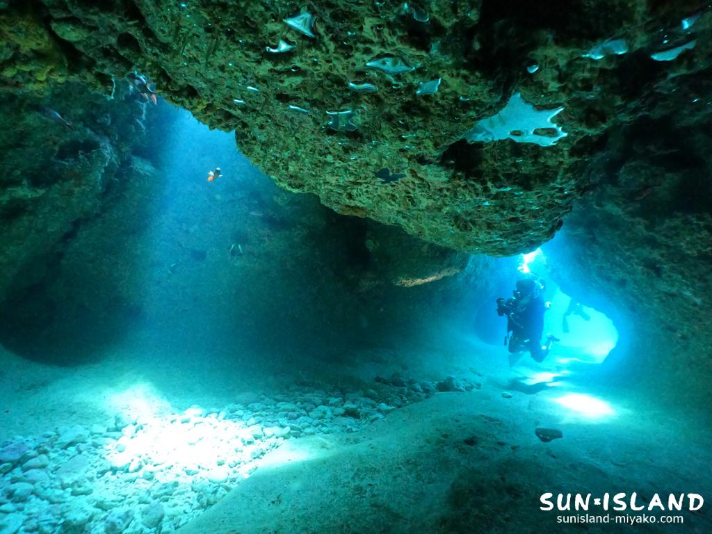 ムーンライトホール