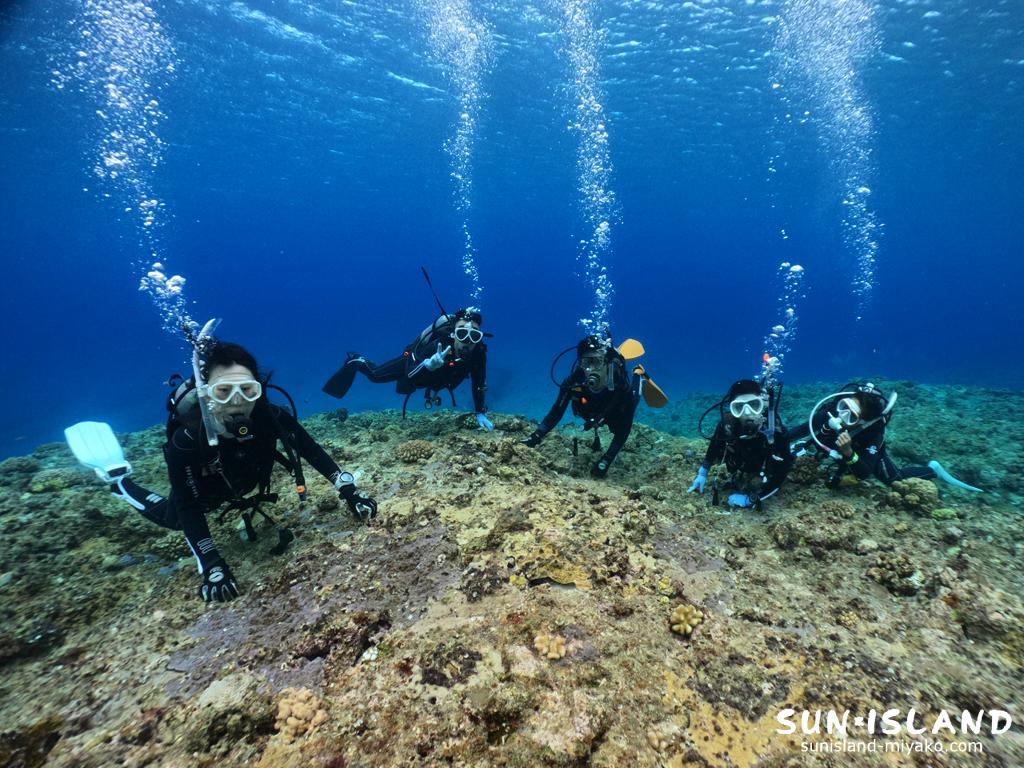 ボートファンダイビングプランにご参加いただいたゲストダイバー