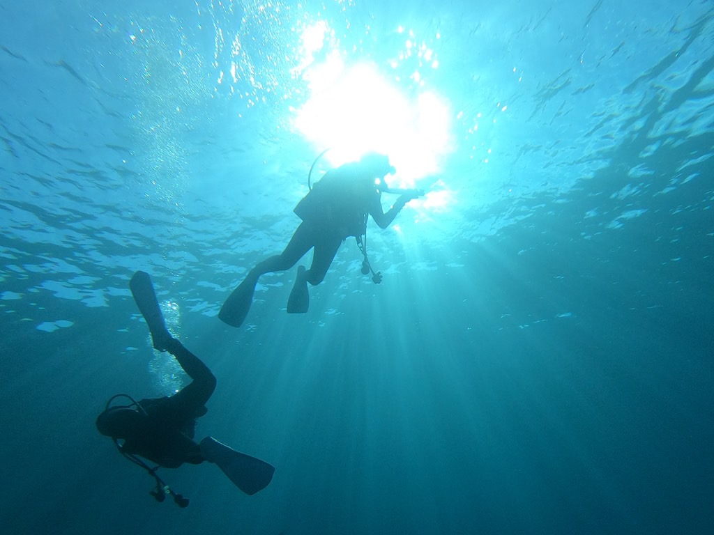 安全停止中のゲストさんお二人