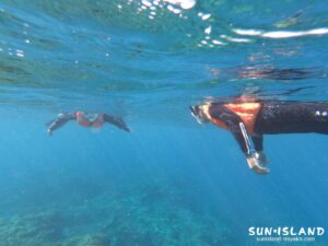 スノーケル サバ沖アウトリーフ