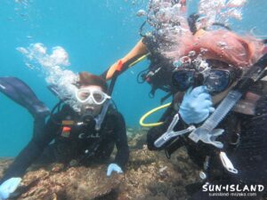 体験ダイビング