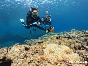 クマノミを眺めるゲストダイバーYさん・Wさん