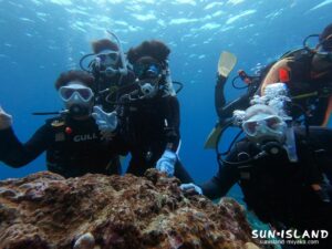 Mさんご家族体験ダイビング