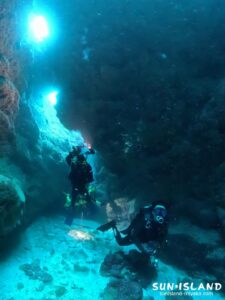 なるほどザ・ケーブ