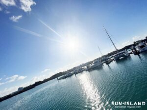 本日のコンディション