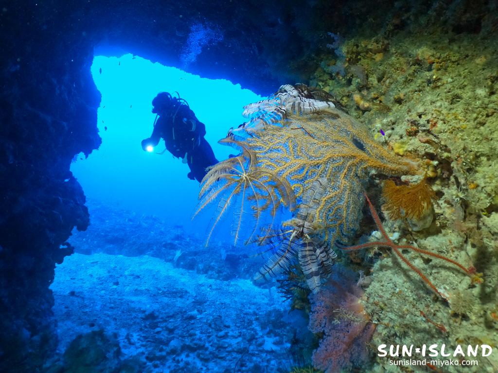 グーニーズケーブ