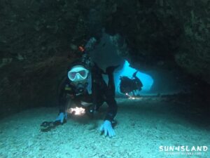 ムーンライトホール