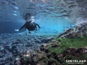 ミニ通り池の海中庭園