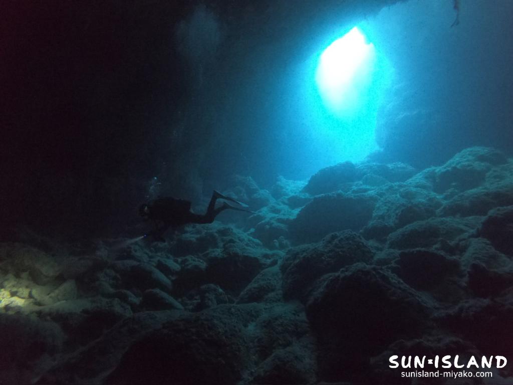 牛さん こわいよ