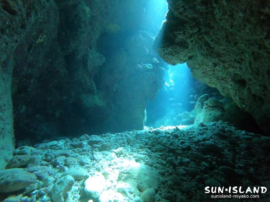 ムーンライトホール1