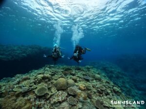 体験ダイビング