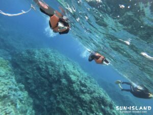 体験ダイビング スノーケリングの様子