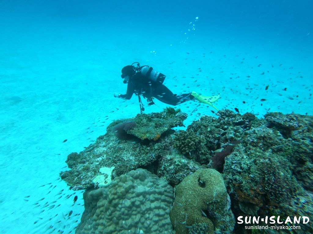 クリスタルパーク