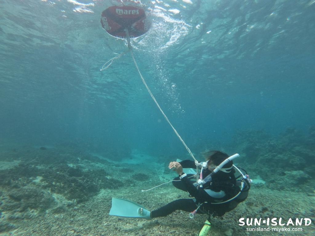 スタッフトレーニングでフロートの付ける位置確認