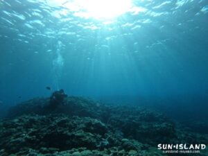 中の島チャネル棚上