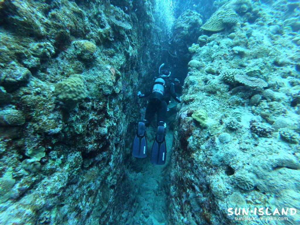 中の島チャネル