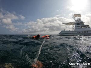 体験ダイビング スノーケリングツアー