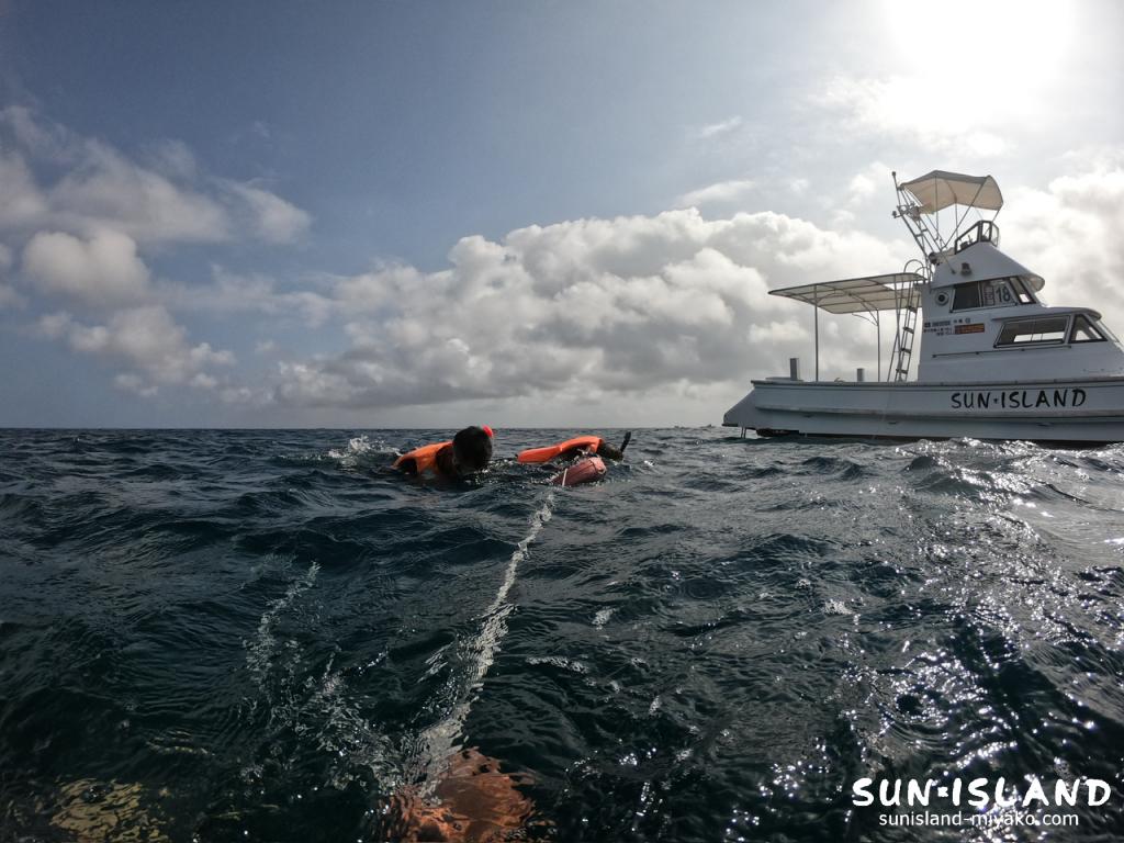 体験ダイビング スノーケリングツアー