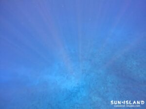 透視度30mを超える青さが際立つ視界良好なコンディション