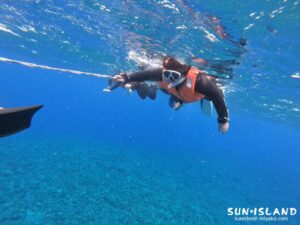 体験ダイビング スノーケリング