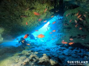 伊良部島ダイビングスポット『ワープホール』