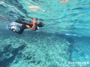 シュノーケリングを楽しむゲストさん