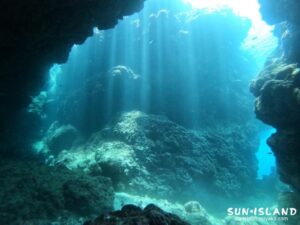 中の島チャネルの光のカーテン