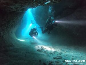 ムーンライトホール