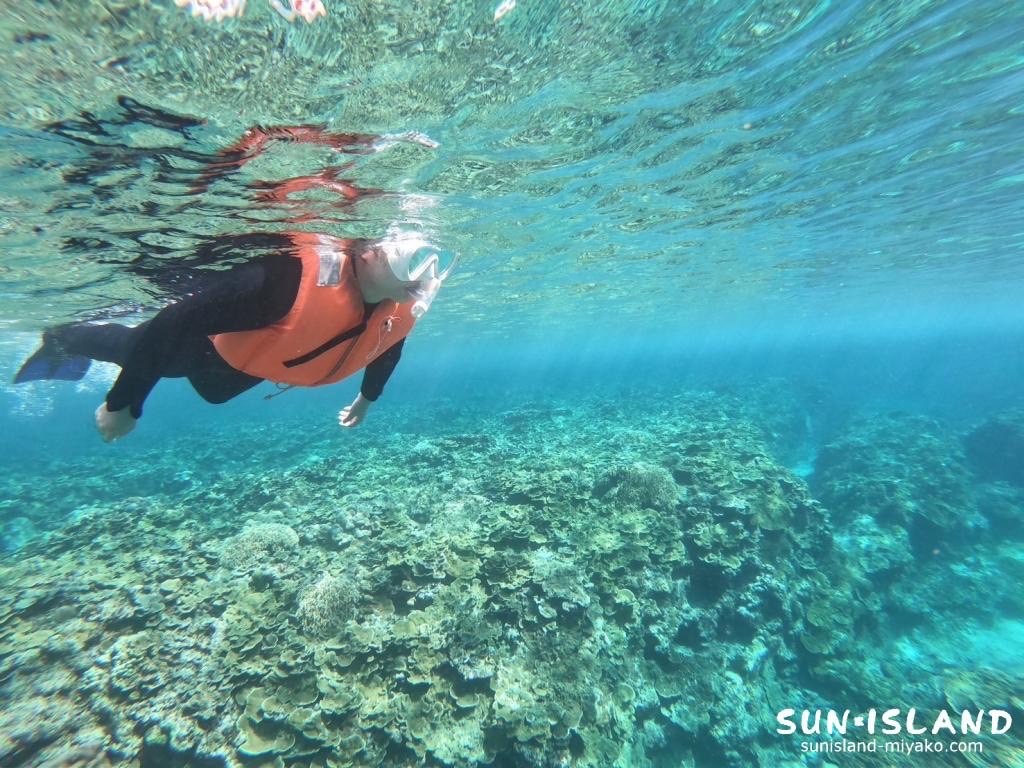 体験ダイビングゲストさん