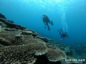 サバ沖アウトリーフ