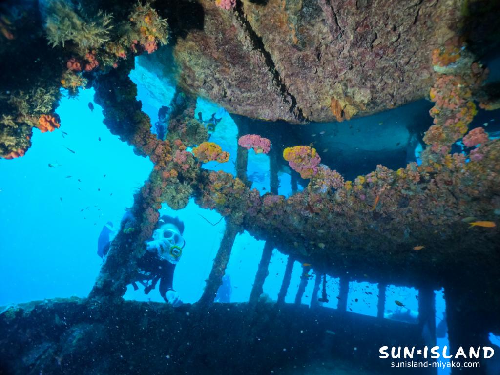 ダイビングスポット『沈船』