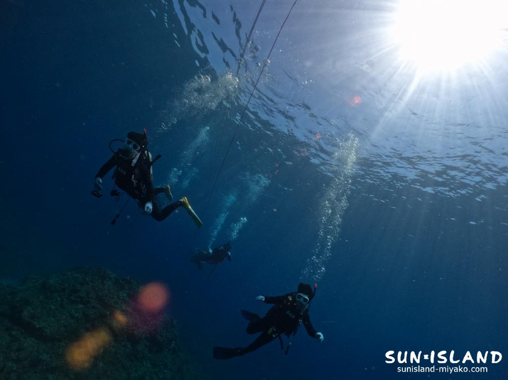 日差し差し込む水中世界