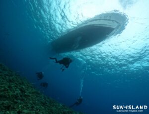 本日の海の様子