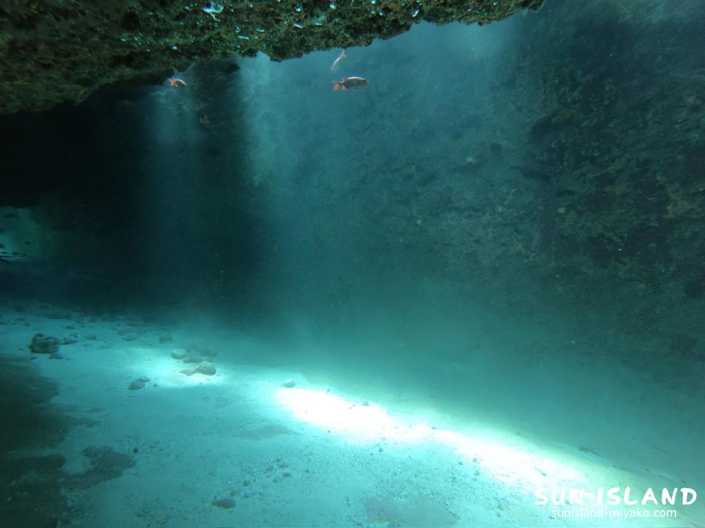 ムーンライトホール