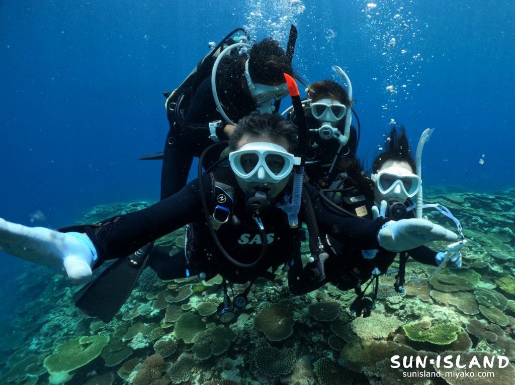 体験ダイビングの様子