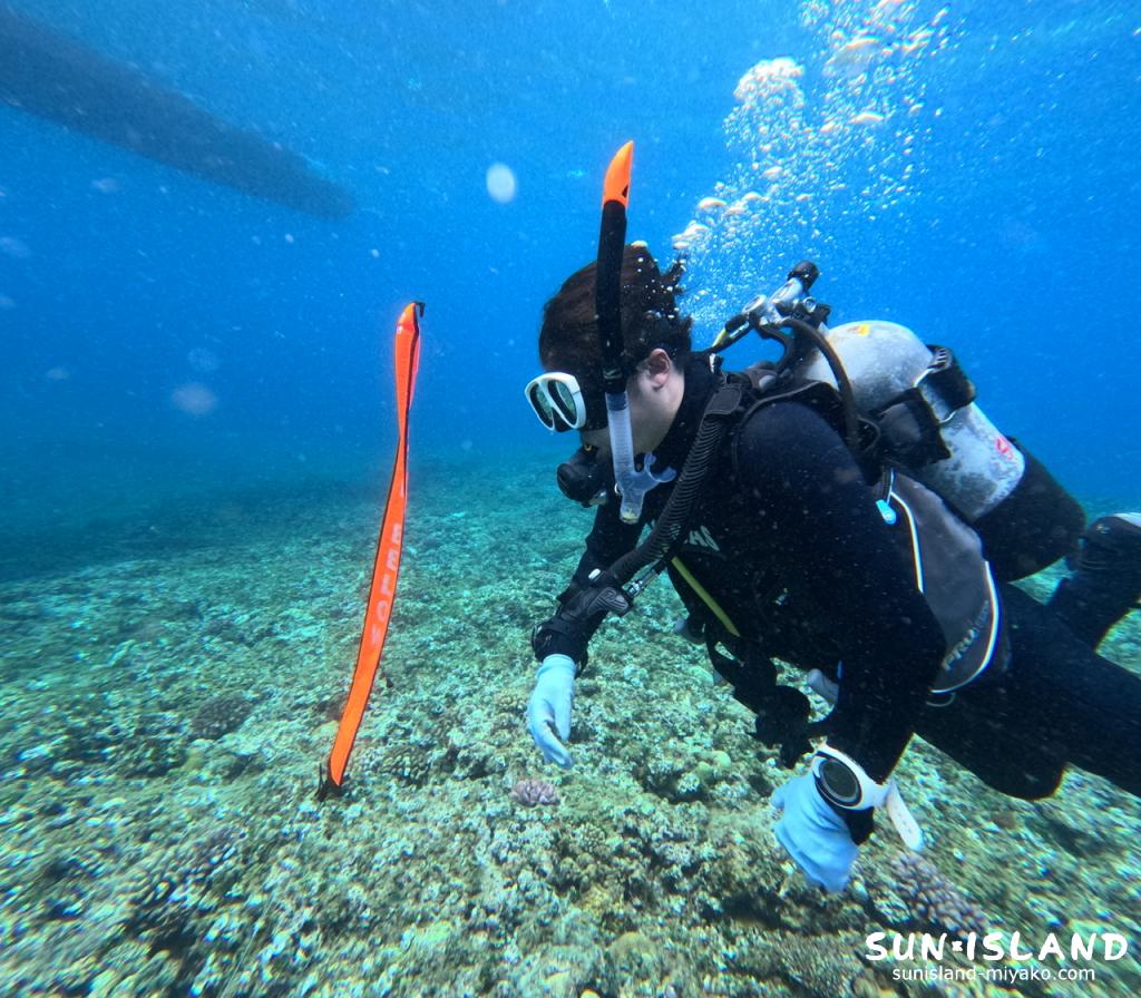 アドバンス講習 コンパス キックサイクル